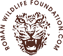 Roman Wildlife Foundation