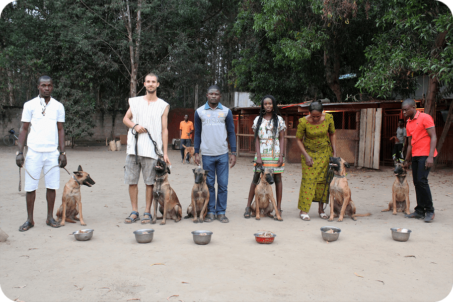 Psí projekt přechází pod The Aspinall Foundation