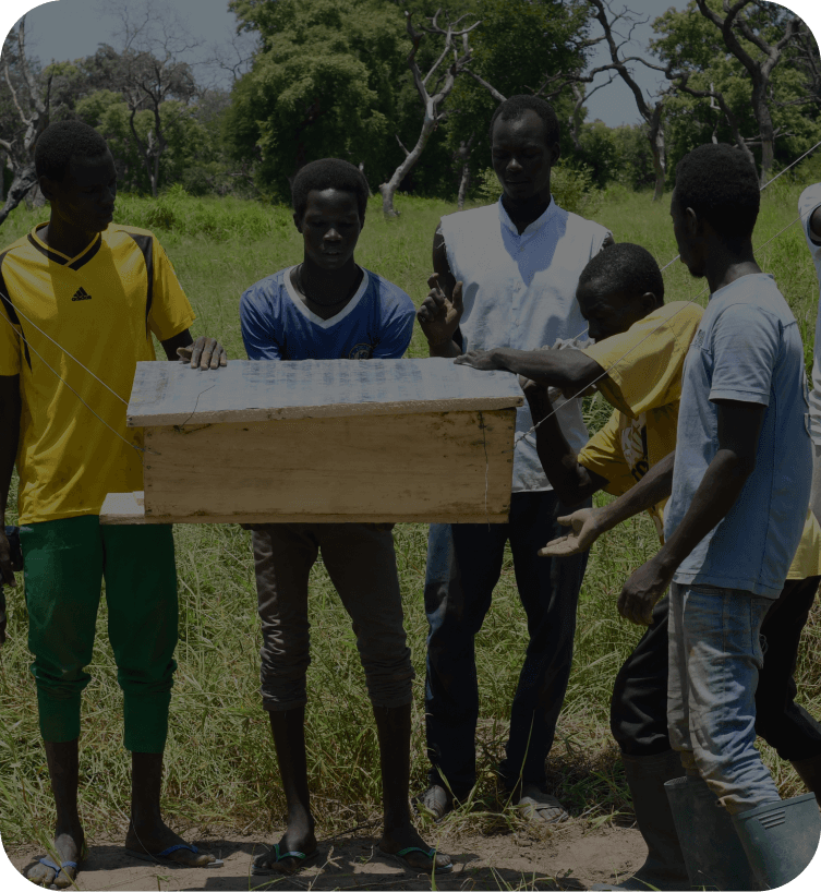 Protisloní
a protihroší bariéry