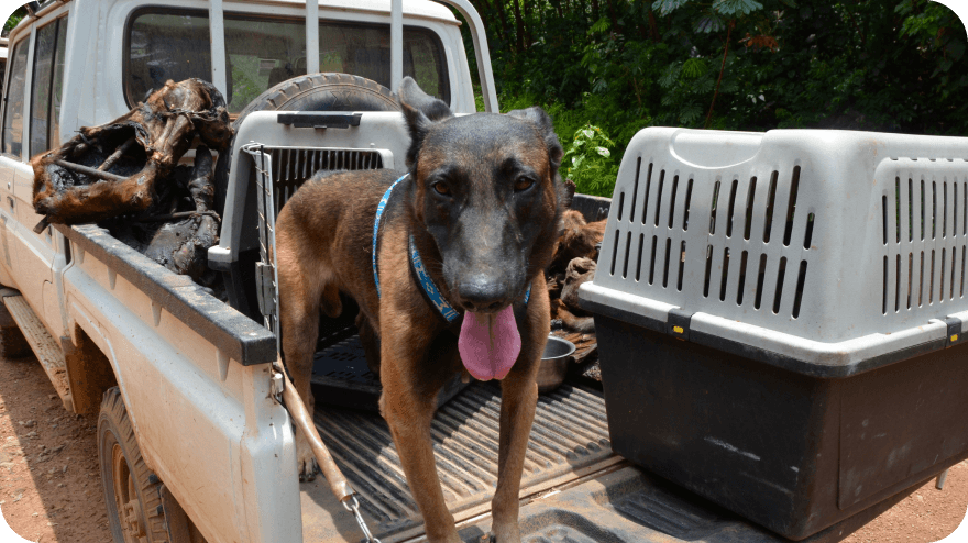 Posilujeme detekční jednotky