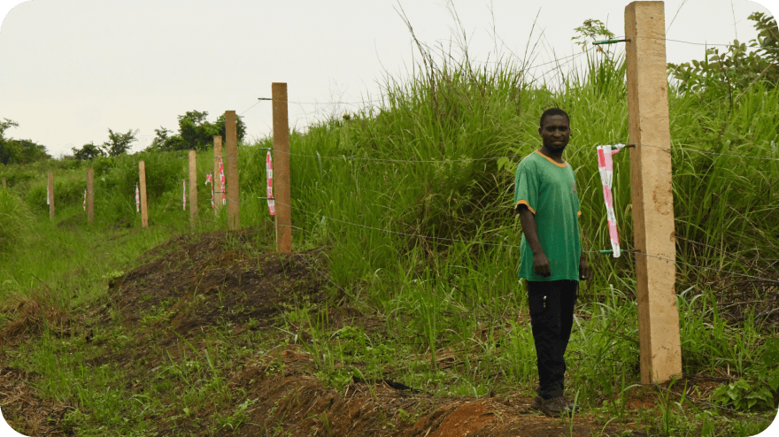 V Kongu pomáháme místním rolníkům s ochranou vybraných polí