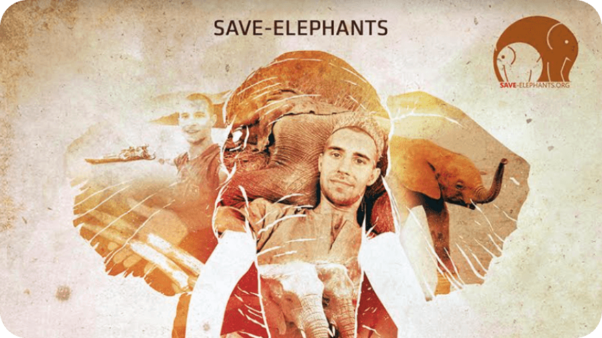 Premiéra filmu Zde jsou sloni