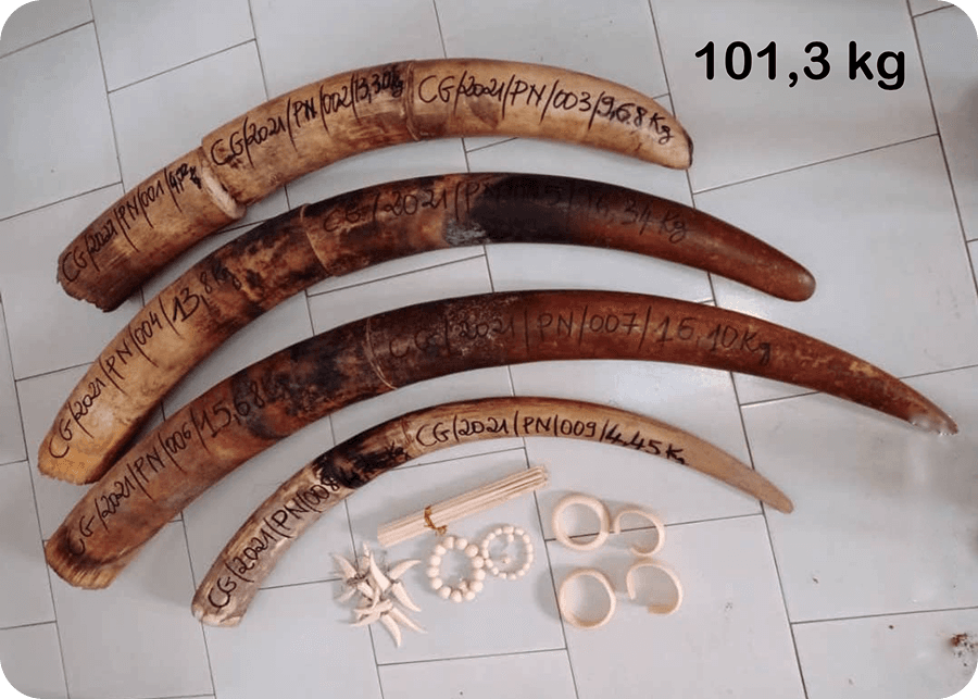 Iniciujeme zatčení šestice překupníků