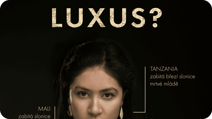 Vytváříme kampaň #zlonovina