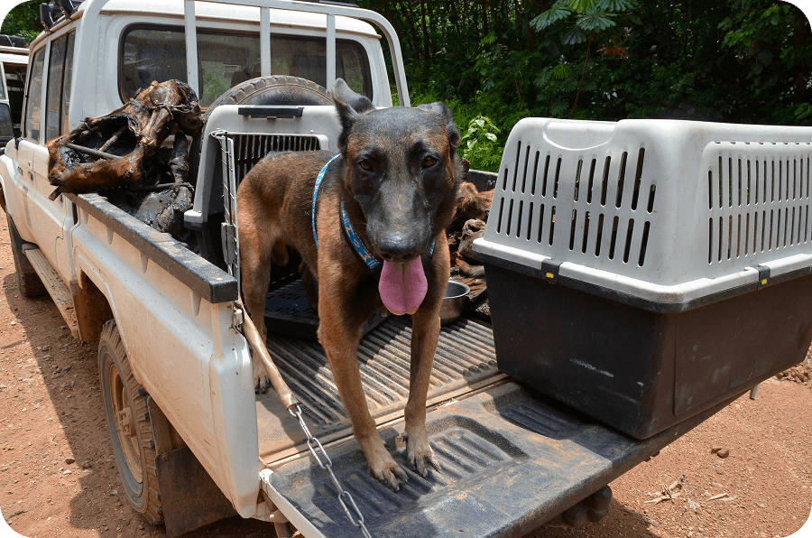 Posilujeme detekční jednotky