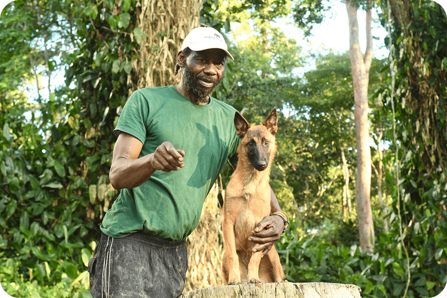 Vrh sedmi zdravých štěňat