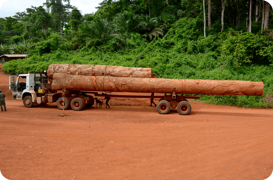 Dokumentární cesta Michala Vargy