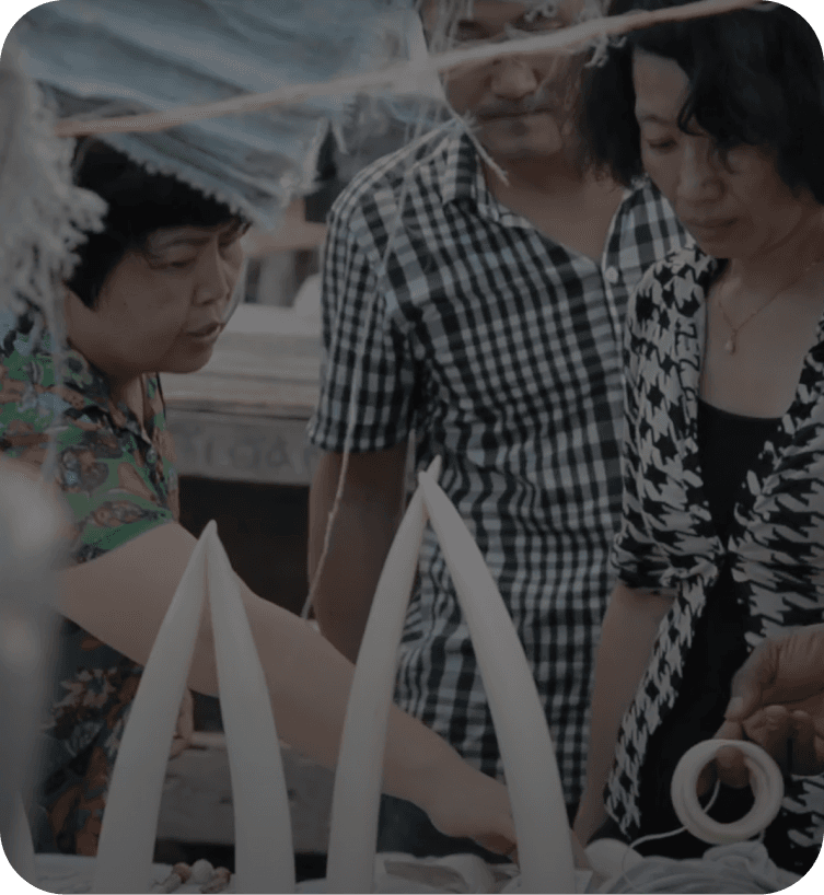 Vyšetřování ilegálního obchodu