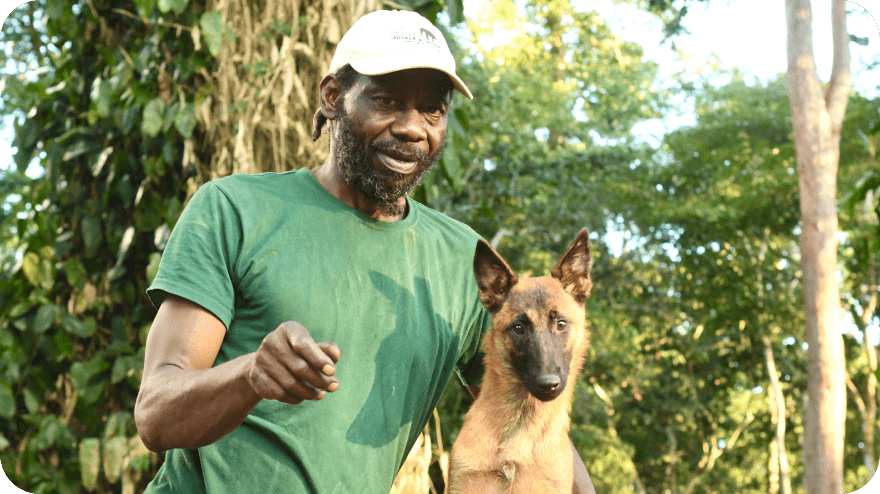 Vrh sedmi zdravých štěňat