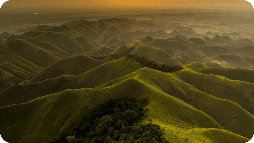 Začínáme objevovat biodiverzitu zapomenuté rezervace Tsoulou
