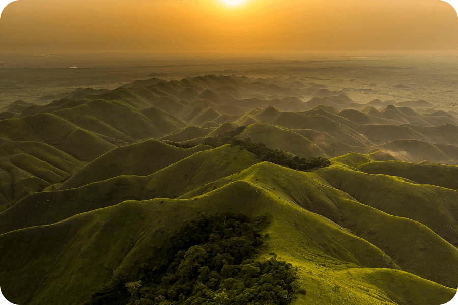 Začínáme objevovat biodiverzitu zapomenuté rezervace Tsoulou
