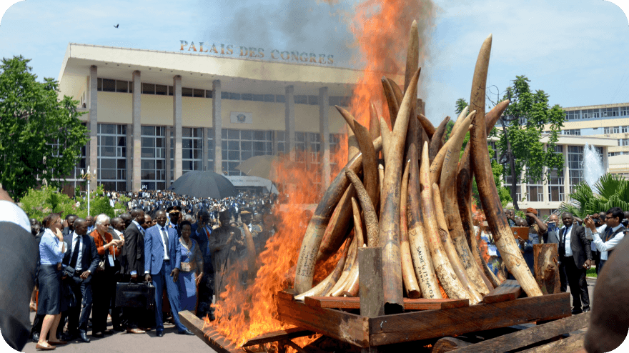 Dokumentární cesta Přemka Koudely