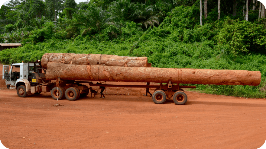 Dokumentární cesta Michala Vargy