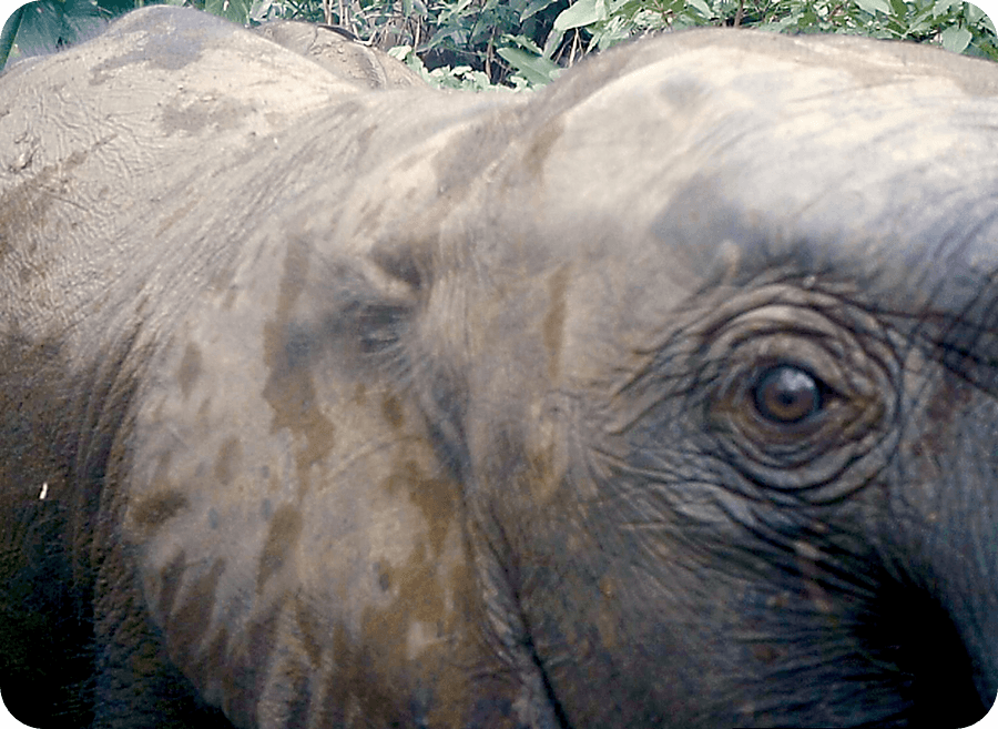 Navzdory pandemii pokračujeme