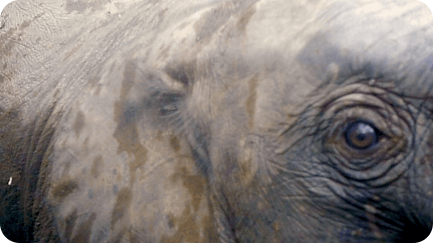 Navzdory pandemii pokračujeme