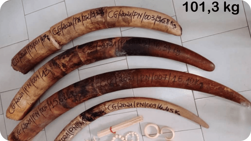 Iniciujeme zatčení šestice překupníků