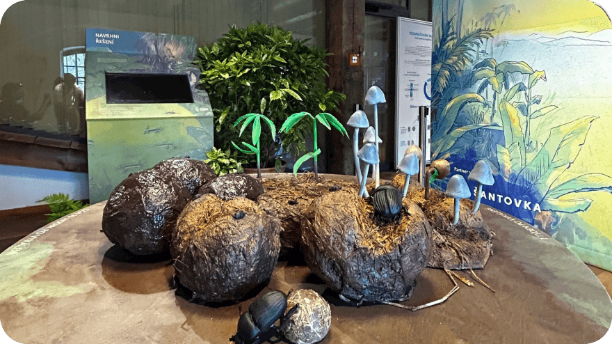 Dlouhodobá vzdělávací expozice Po stopách slonů