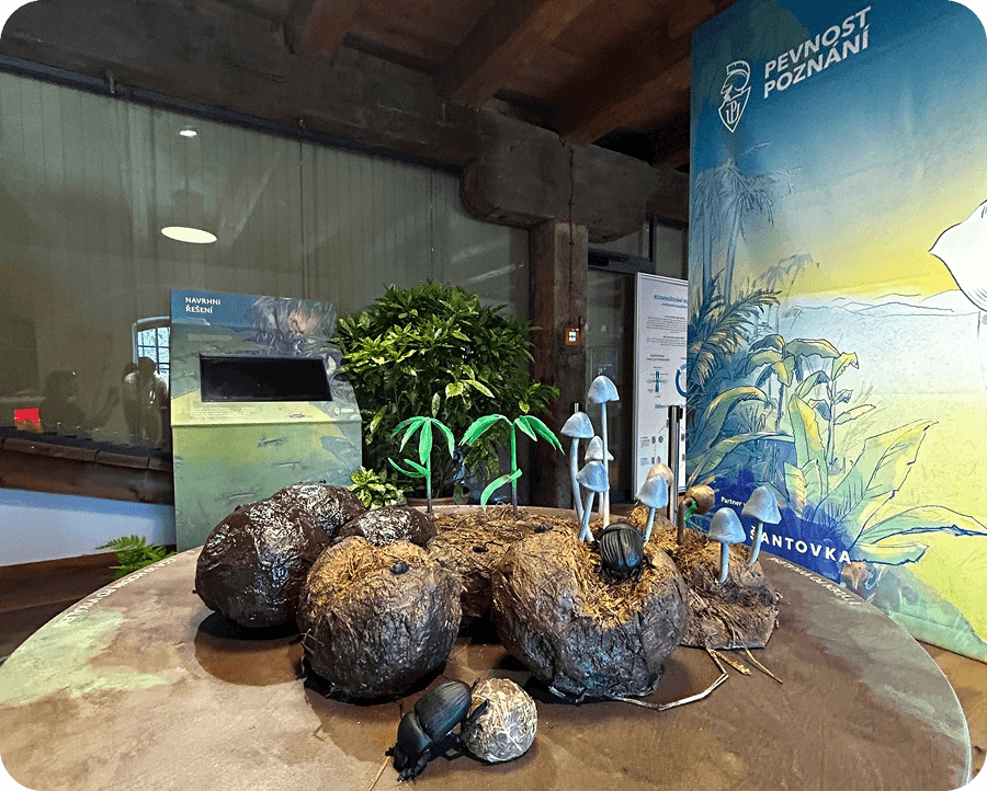 Dlouhodobá vzdělávací expozice Po stopách slonů