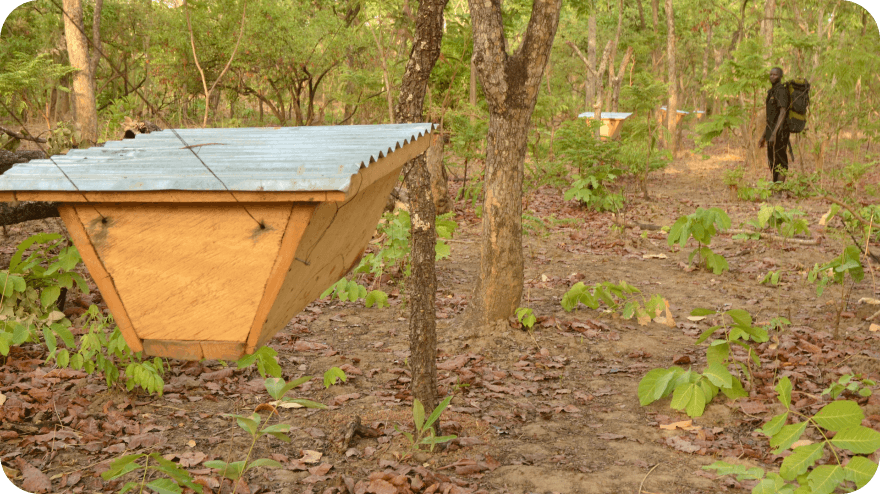 První protisloní bariéry